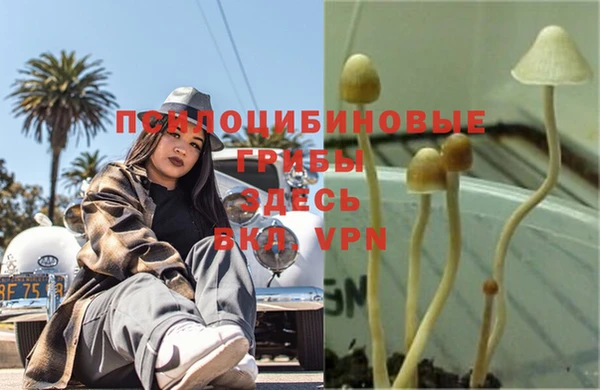 эйфоретик Липки