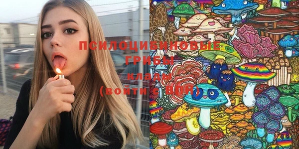 эйфоретик Липки