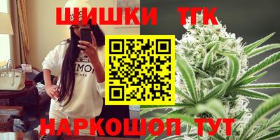 прущие грибы Нальчик