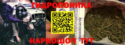 прущие грибы Нальчик