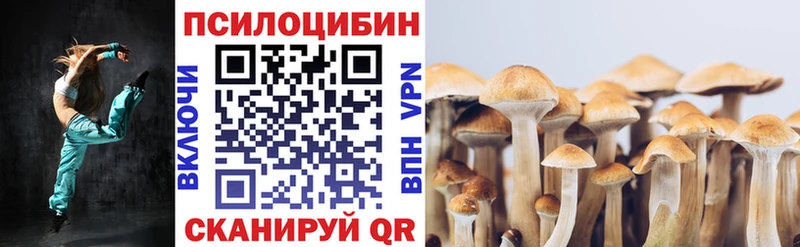 хочу   Обь  мега рабочий сайт  Псилоцибиновые грибы Cubensis 