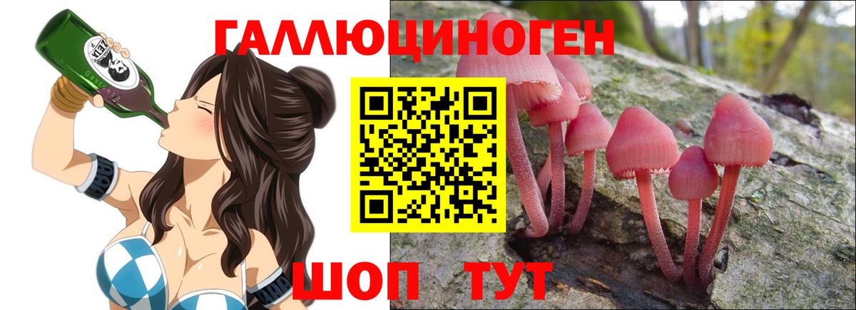 Галлюциногенные грибы Psilocybine cubensis  Вход с VPN  Обь 