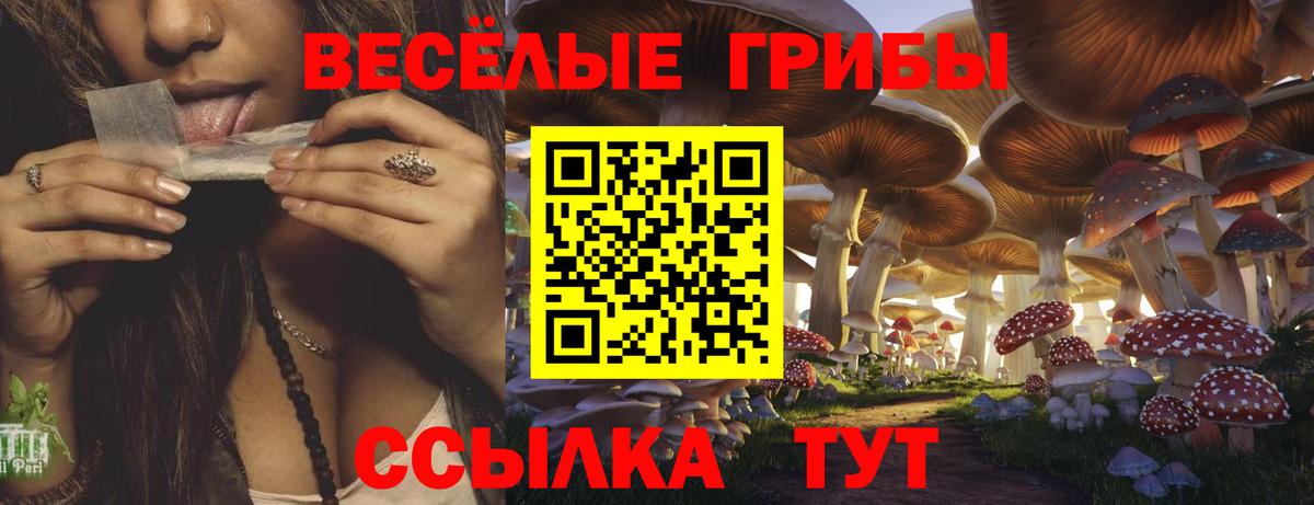 Псилоцибиновые грибы прущие грибы Обь